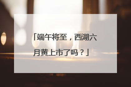 端午将至，西湖六月黄上市了吗？