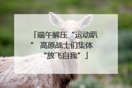 端午解压“运动趴” 高原战士们集体“放飞自我”