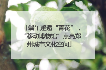 端午邂逅“青花”，“移动博物馆”点亮郑州城市文化空间