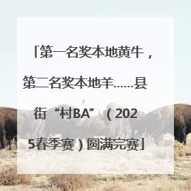 第一名奖本地黄牛，第二名奖本地羊……县街“村BA”（2025春季赛）圆满完赛