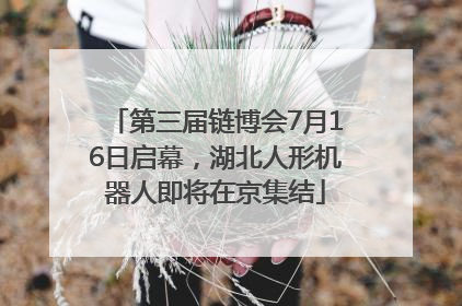 第三届链博会7月16日启幕，湖北人形机器人即将在京集结