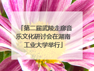 第二届武陵走廊音乐文化研讨会在湖南工业大学举行