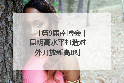 第9届南博会｜昆明高水平打造对外开放新高地