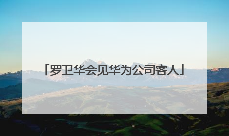 罗卫华会见华为公司客人