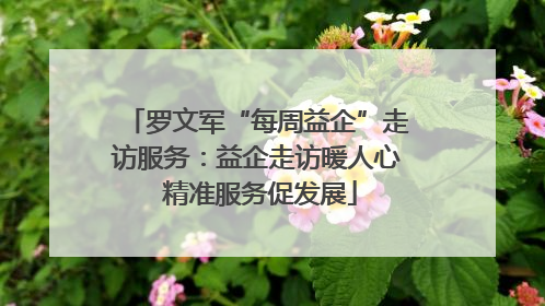 罗文军“每周益企”走访服务：益企走访暖人心 精准服务促发展