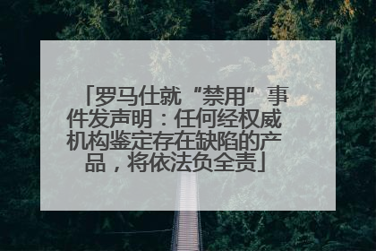 罗马仕就“禁用”事件发声明：任何经权威机构鉴定存在缺陷的产品，将依法负全责