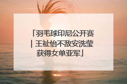 羽毛球印尼公开赛｜王祉怡不敌安洗莹 获得女单亚军