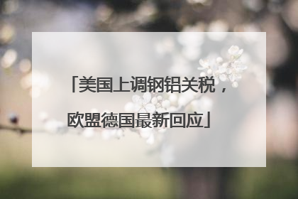 美国上调钢铝关税，欧盟德国最新回应