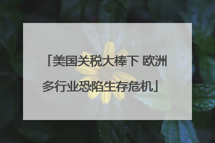 美国关税大棒下 欧洲多行业恐陷生存危机