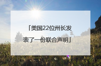 美国22位州长发表了一份联合声明