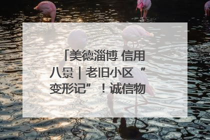 美德淄博 信用八景｜老旧小区“变形记”！诚信物业焐热居民心窝