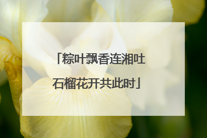 粽叶飘香连湘吐 石榴花开共此时