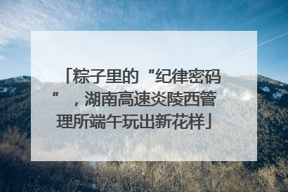 粽子里的“纪律密码”，湖南高速炎陵西管理所端午玩出新花样