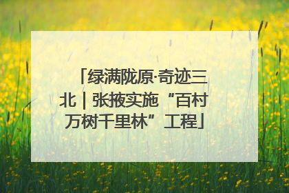 绿满陇原·奇迹三北｜张掖实施“百村万树千里林”工程