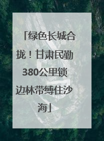 绿色长城合拢！甘肃民勤380公里锁边林带缚住沙海