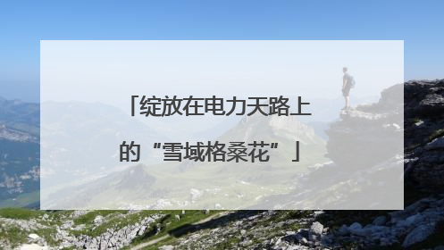 绽放在电力天路上的“雪域格桑花”