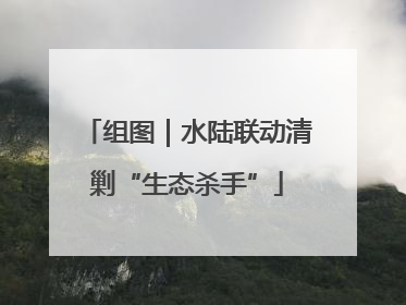 组图｜水陆联动清剿“生态杀手”