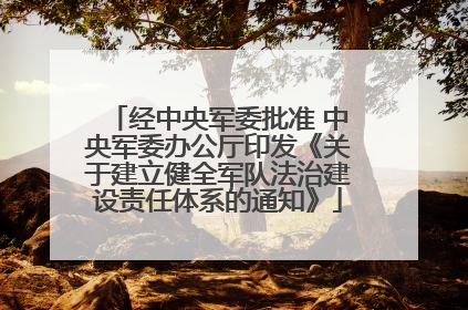 经中央军委批准 中央军委办公厅印发《关于建立健全军队法治建设责任体系的通知》