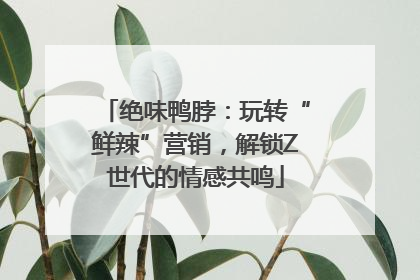 绝味鸭脖：玩转“鲜辣”营销，解锁Z世代的情感共鸣