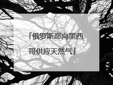 俄罗斯愿向墨西哥供应天然气