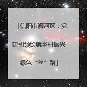 信阳市浉河区：党建引领绘就乡村振兴绿色“丝”路