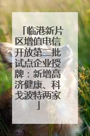 临港新片区增值电信开放第二批试点企业授牌：新增高济健康、科戈波特两家