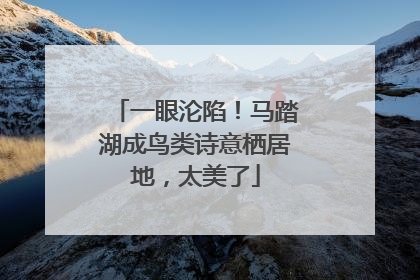 一眼沦陷！马踏湖成鸟类诗意栖居地，太美了