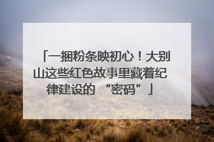 一捆粉条映初心！大别山这些红色故事里藏着纪律建设的 “密码”
