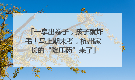 一拿出卷子，孩子就炸毛！马上期末考，杭州家长的“降压药”来了