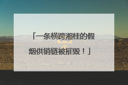 一条横跨湘桂的假烟供销链被摧毁！