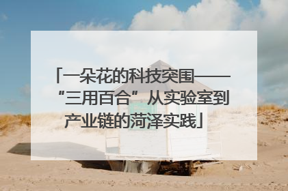 一朵花的科技突围——“三用百合”从实验室到产业链的菏泽实践