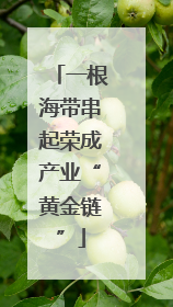 一根海带串起荣成产业“黄金链”