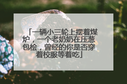 一辆小三轮上摆着煤炉，一个老奶奶在压葱包桧，曾经的你是否穿着校服等着吃