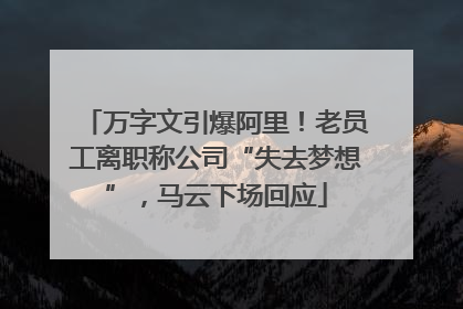 万字文引爆阿里！老员工离职称公司“失去梦想”，马云下场回应