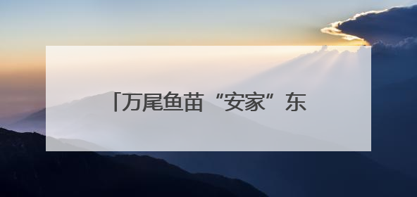 万尾鱼苗“安家”东海 浙江海洋增殖放流活动在台州启幕