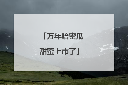 万年哈密瓜甜蜜上市了