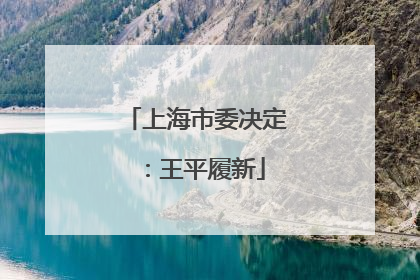 上海市委决定：王平履新
