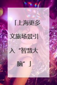 上海更多文旅场景引入“智慧大脑”