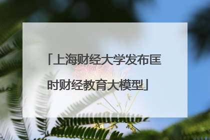 上海财经大学发布匡时财经教育大模型