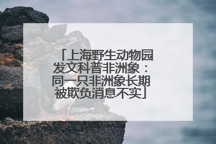 上海野生动物园发文科普非洲象：同一只非洲象长期被欺负消息不实