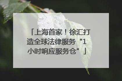 上海首家！徐汇打造全球法律服务“1小时响应服务仓”