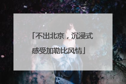 不出北京，沉浸式感受加勒比风情