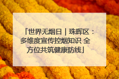 世界无烟日｜珠晖区：多维度宣传控烟知识 全方位共筑健康防线