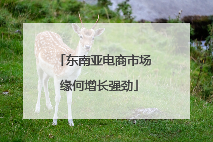 东南亚电商市场缘何增长强劲