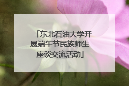 东北石油大学开展端午节民族师生座谈交流活动