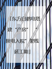 东方白鹳电塔建“产房” “陕电入皖”架线延工期