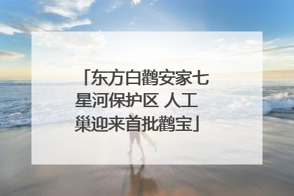 东方白鹳安家七星河保护区 人工巢迎来首批鹳宝