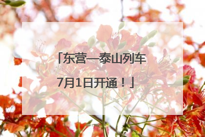 东营—泰山列车7月1日开通！