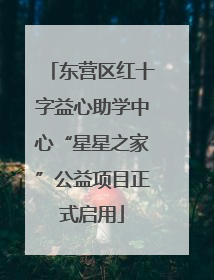 东营区红十字益心助学中心“星星之家”公益项目正式启用