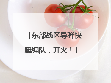 东部战区导弹快艇编队，开火！